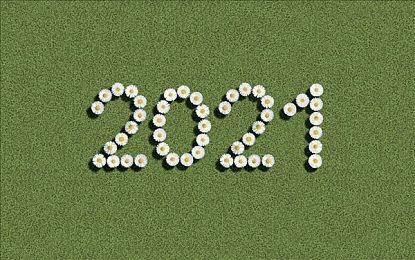 《Dealer Simulator》Steam抢先体验 仓库废品回收模拟